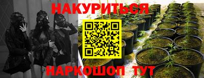каннабис Славянск-на-Кубани