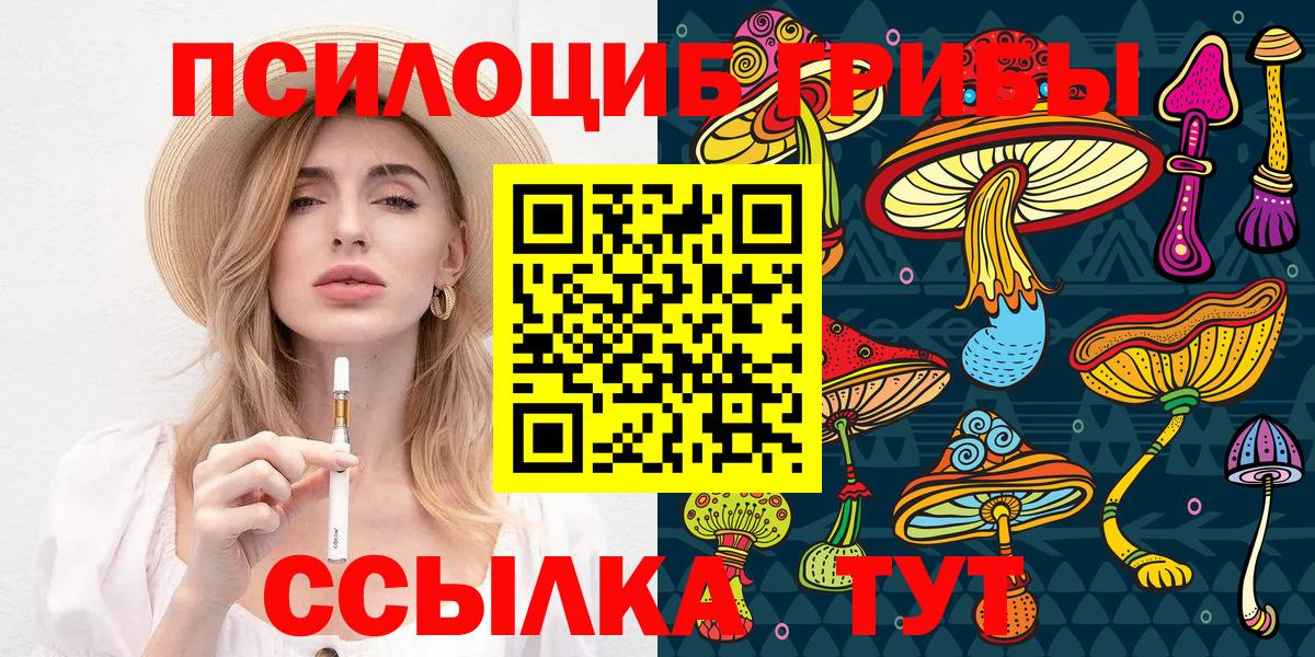 Галлюциногенные грибы Psilocybe Новочебоксарск