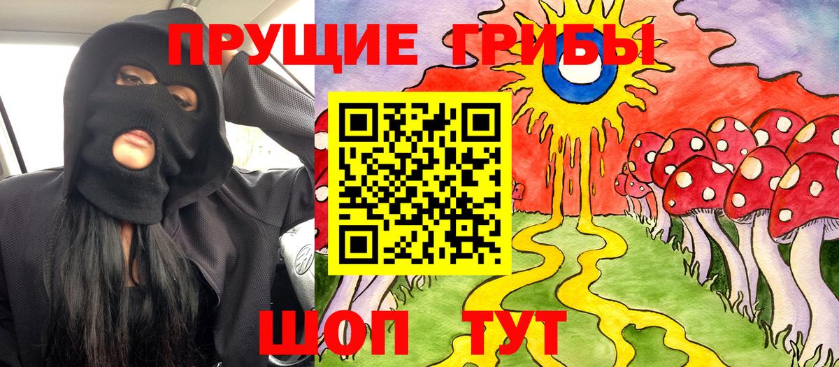 Новочебоксарск  Галлюциногенные грибы Psilocybe  Вход с VPN 